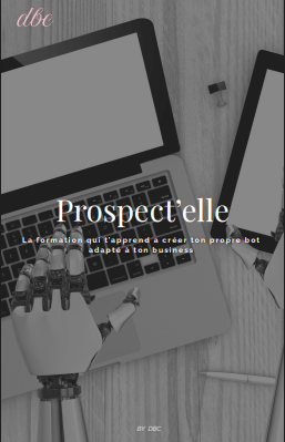 PROSPECT'ELLE - Ton Ebook de l'IA & 50 Prompts